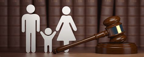 introduction to family law introduction to family law Reader